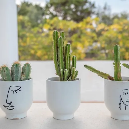 ベッド・アンド・ブレックファスト La Caletta トッレ・サンタ・サビーナ