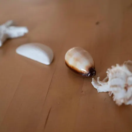 La Caletta トッレ・サンタ・サビーナ