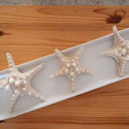 ベッド・アンド・ブレックファスト La Caletta